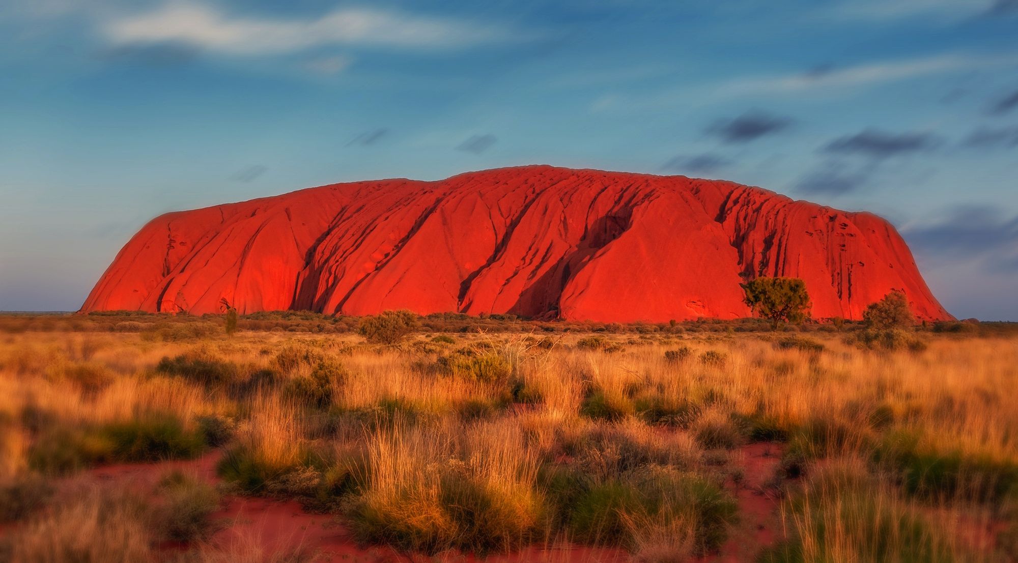 Regulating STOs and Token Offerings: Australian Treasury seeks submissions